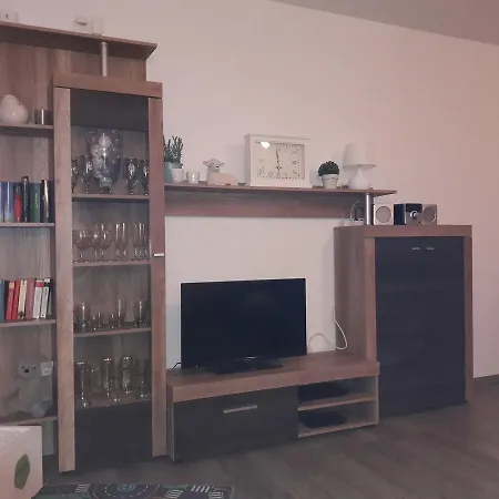 Friesenmoewe Apartment