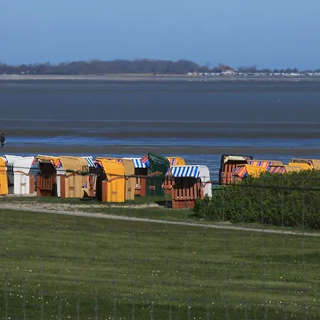 Friesenmoewe Apartment *