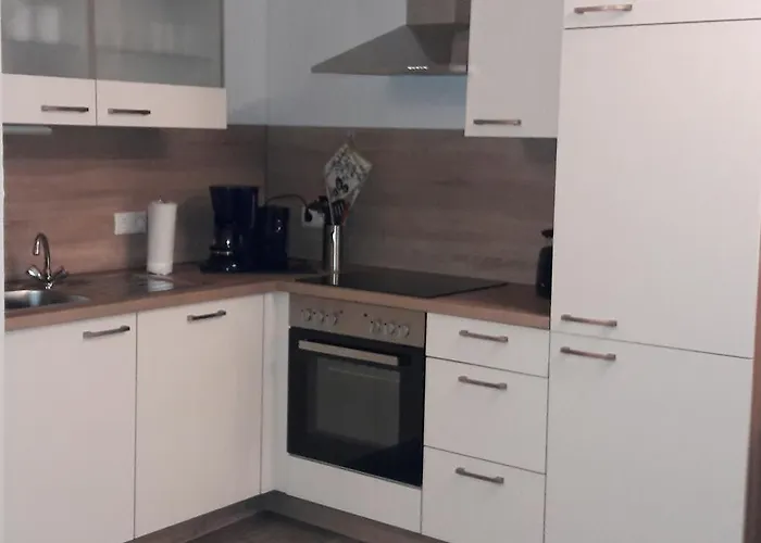 Friesenmoewe 霍鲁梅尔希尔