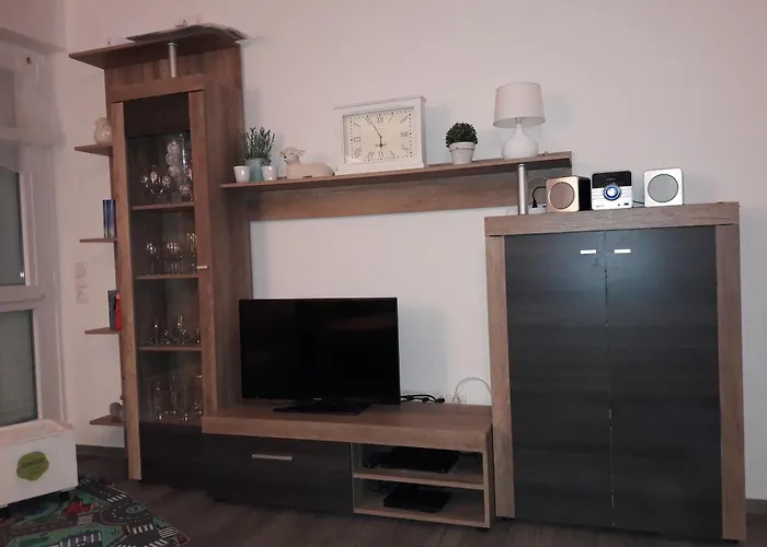 Friesenmoewe * 霍鲁梅尔希尔