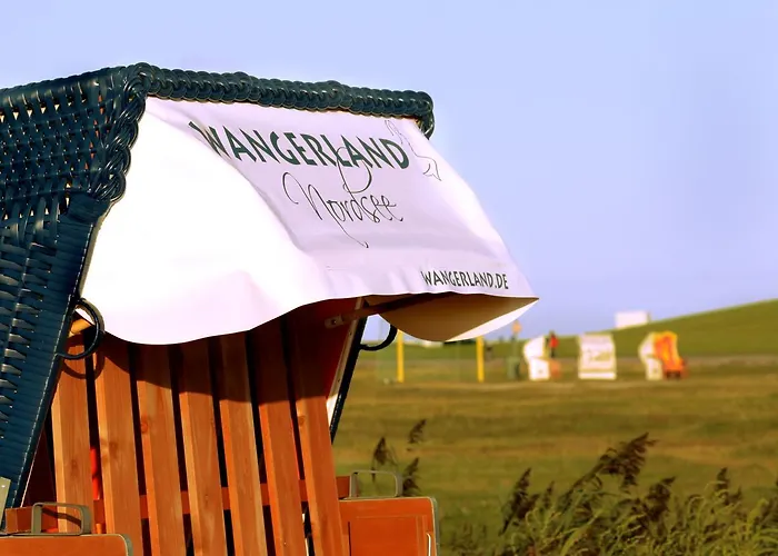 Friesenmoewe * 霍鲁梅尔希尔