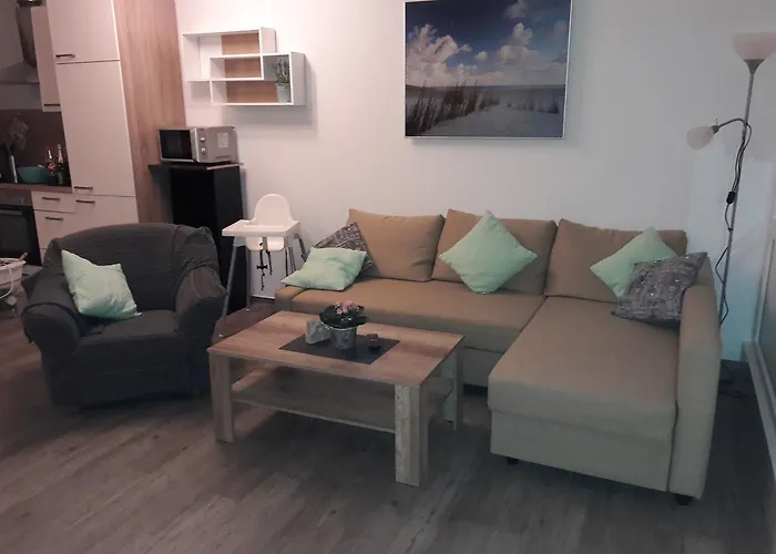 Friesenmoewe 霍鲁梅尔希尔