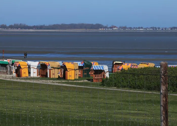 Friesenmoewe 公寓 *